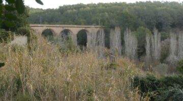 Viadukt 08.02.22 El Catllar
