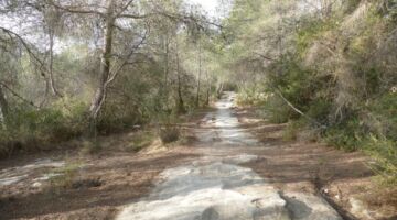 Wanderung durch das Gaia Becken 08.02.22 El Catllar
