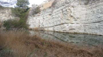 Pellac Llarg 09.02.22 Vilobí del Penedès