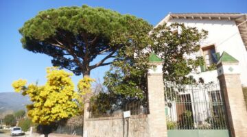 Mimosen 10.02.22 Breda