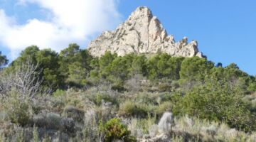 Relleu Cami Bortolons