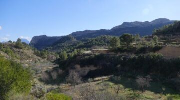 Relleu Cami Bortolons