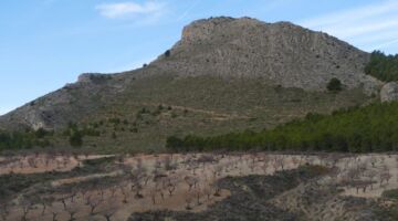 Vélez-Rubio Hügel der Alfesta