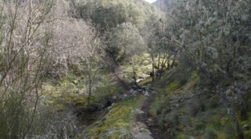 Molinaseca Wanderung Malpaso-Brücken