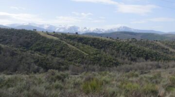 Molinaseca Wanderung Malpaso-Brücken