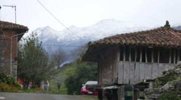 Cami de Encata Maleteria