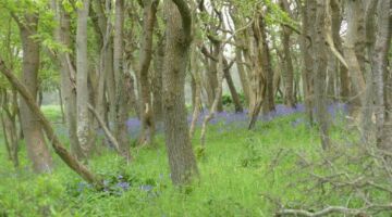 Le Treport Wanderung