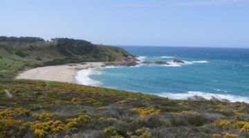 Sentier des Plages sauvages d Erquy