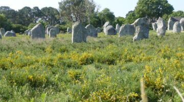 Alignements de Carnac du Menec