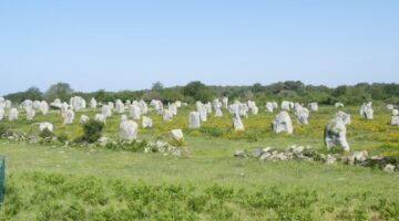 Alignements de Carnac du Menec