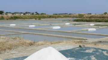 Salinen in Batz-sur-Mer