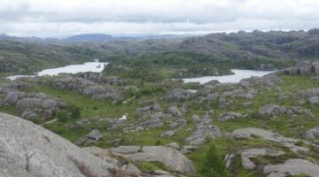 Wanderung Branndalsvatnet