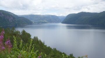 Landschaftsroute Ryfylke