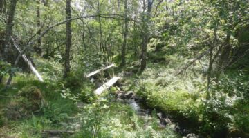 Wanderung auf den Blånuten