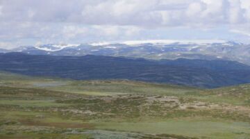 Wanderung Hardangervidda - Ustetind