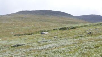 Topptur til Heimdalshøe Blick zurück