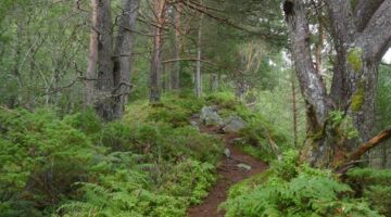 Wanderung auf den Jendemsfjellet