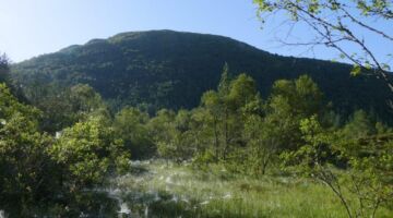 Wanderung auf den Gulltanna