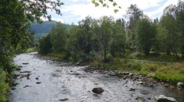 Batnfjordsøra Flusswanderung