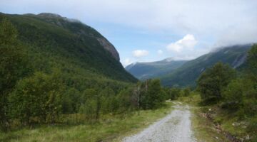 Wanderung Vasstindbu Rückweg