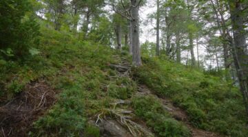 Wanderung auf den Furukollen
