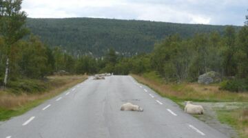 Landschaftsroute Rondane