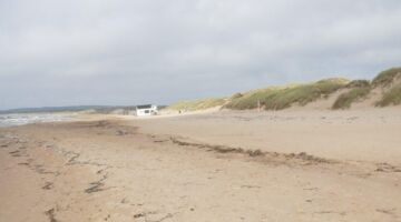 Halmstad Prins Bertils stig