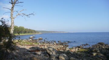 Halmstad Prins Bertils stig