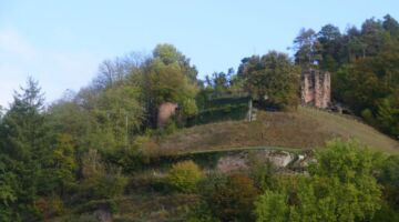 Neidenfels Burgruine