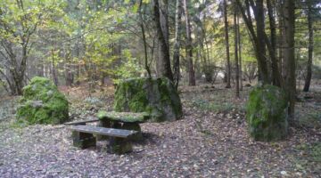 Oberviechtach Goldsteig-Panorama-Tour