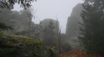 Panoramaweg Kaitersberg