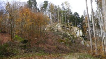 Falkenstein Sattelfelsen