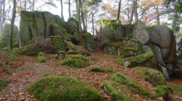 Falkenstein Steinstelen Hinkelsteine