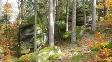 Falkenstein Felsenturm