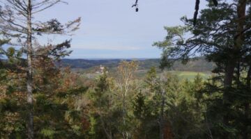Falkenstein Aussichtspunkt nach Marienstein