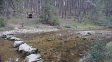 Hontoria del Pinar Lobos Canyon
