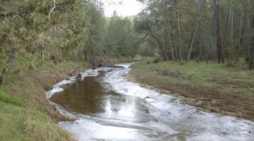 Hontoria del Pinar Lobos Canyon