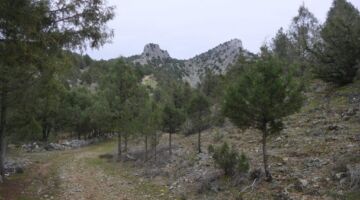 RĂŒckweg Ruta del Cid