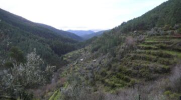 Loriga Levada-Wanderung Blick auf Colcurinho