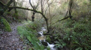 Fragas de São Simão - Wanderweg