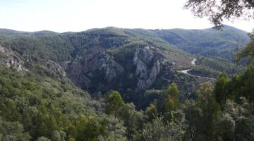 Miradouro de Sao Simao