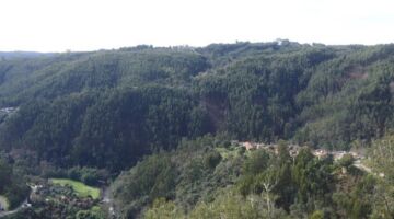 Casal de São Simão