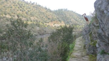 Wanderweg Barca d'Amieira