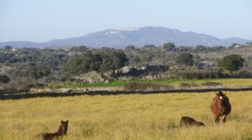 Salto de Caballo Marvão
