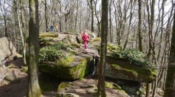 Von Diedesfeld auf die Kalmit