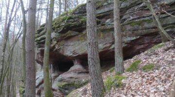 Erfweiler Hahnfels-Tour