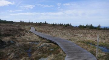 Drei Seen Wanderung Hochmoor