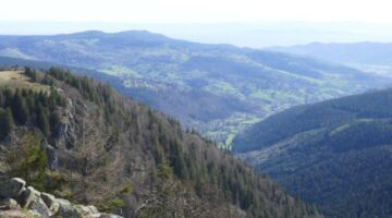 Wanderung Hohneck Gipfel