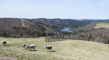 Fahrt zum Grand Ballon