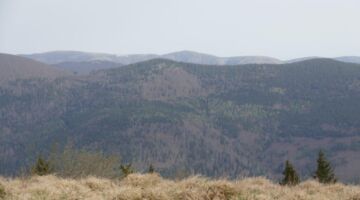 Wanderung am Grand Ballon